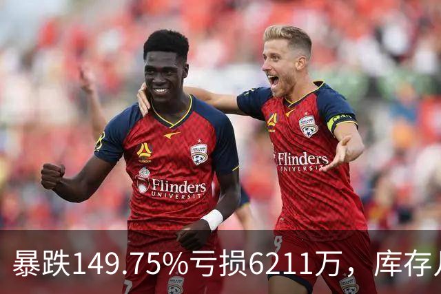 暴跌149.75%亏损6211万，库存几乎翻番！电驴界爱马仕卖不动了？